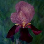 Blumen von Elisabeth Oschwald - Flowers by Elisabeth Oschwald