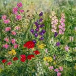 Blumen von Elisabeth Oschwald - Flowers by Elisabeth Oschwald