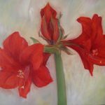 Blumen von Elisabeth Oschwald - Flowers by Elisabeth Oschwald
