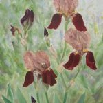 Blumen von Elisabeth Oschwald - Flowers by Elisabeth Oschwald