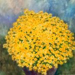 Blumen von Elisabeth Oschwald - Flowers by Elisabeth Oschwald