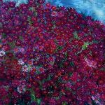 Blumen von Elisabeth Oschwald - Flowers by Elisabeth Oschwald