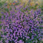 Blumen von Elisabeth Oschwald - Flowers by Elisabeth Oschwald