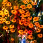 Blumen von Elisabeth Oschwald - Flowers by Elisabeth Oschwald