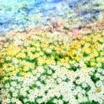 Blumen von Elisabeth Oschwald - Flowers by Elisabeth Oschwald