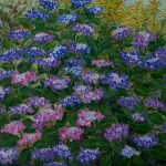 Blumen von Elisabeth Oschwald - Flowers by Elisabeth Oschwald